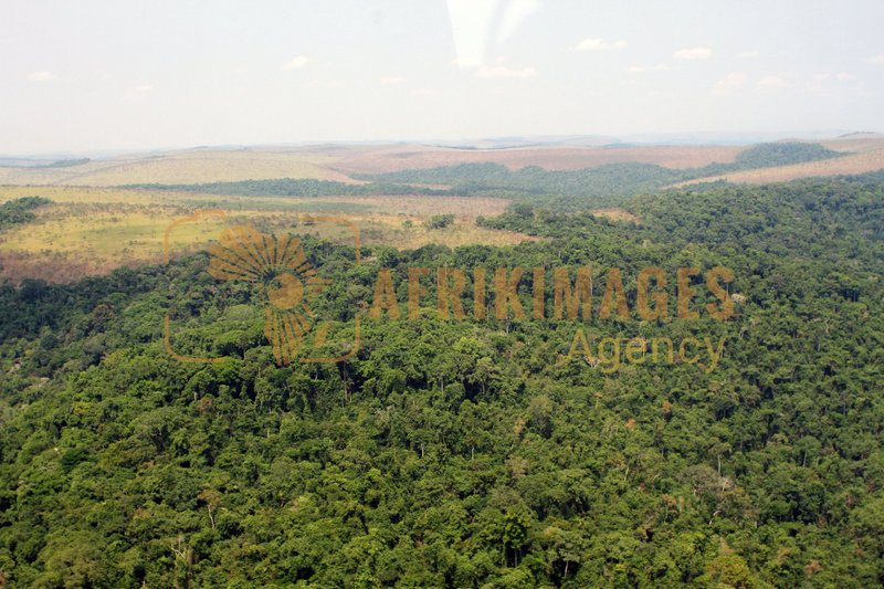 Afrikimages gabon/  franceville