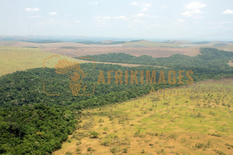 Afrikimages gabon/  franceville