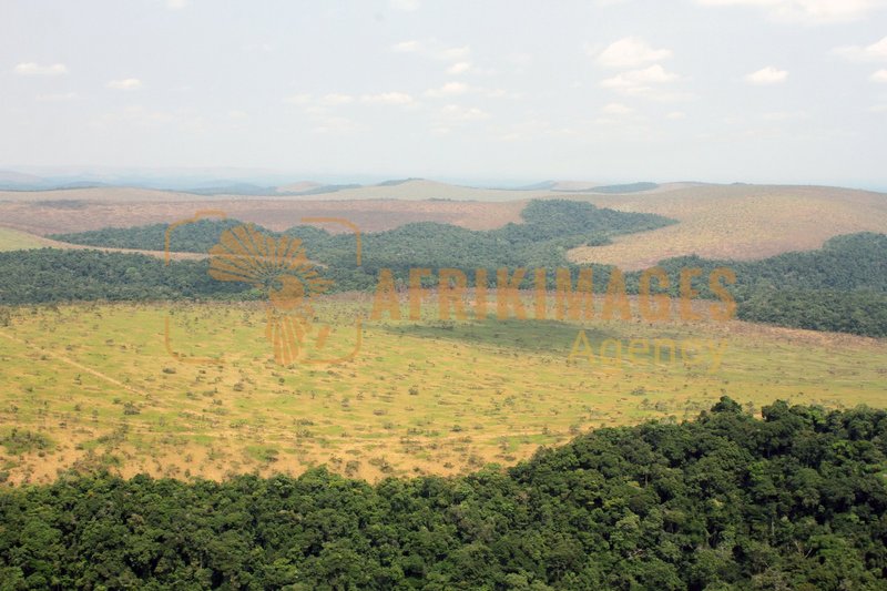 Afrikimages gabon/  franceville