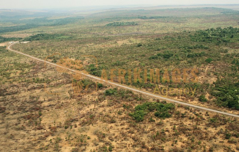 Afrikimages gabon/  franceville