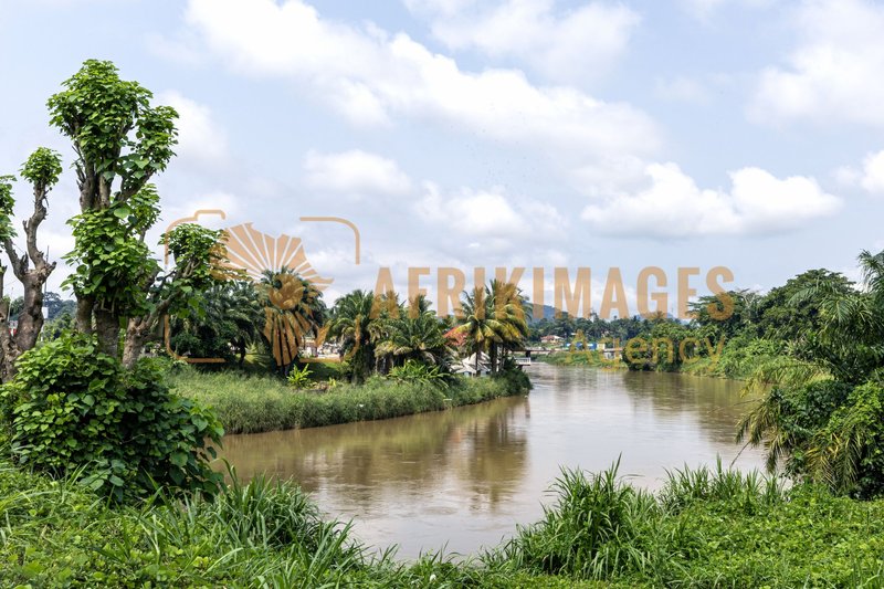 Afrikimages gabon/  koulamoutou