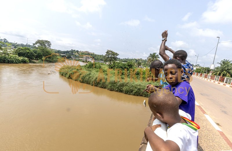 Afrikimages gabon/  koulamoutou