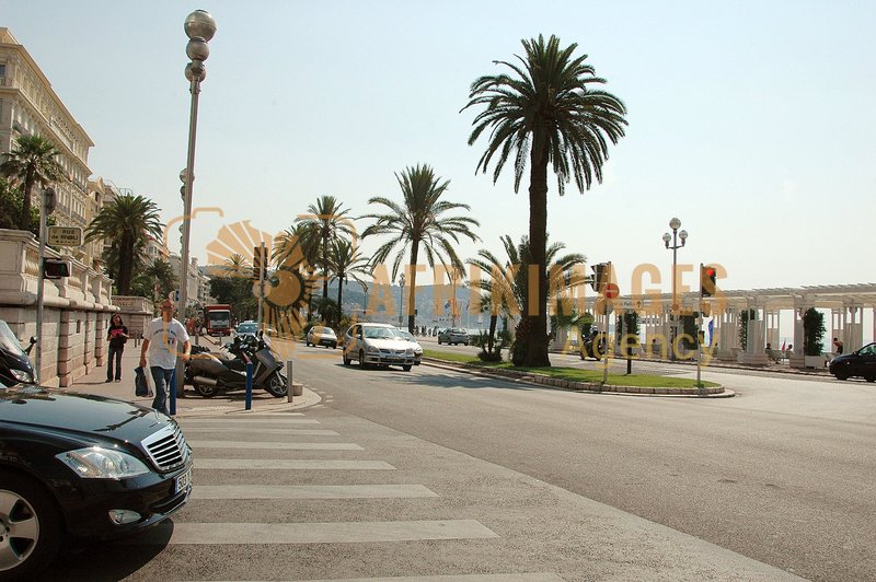 Afrikimages france /  nice