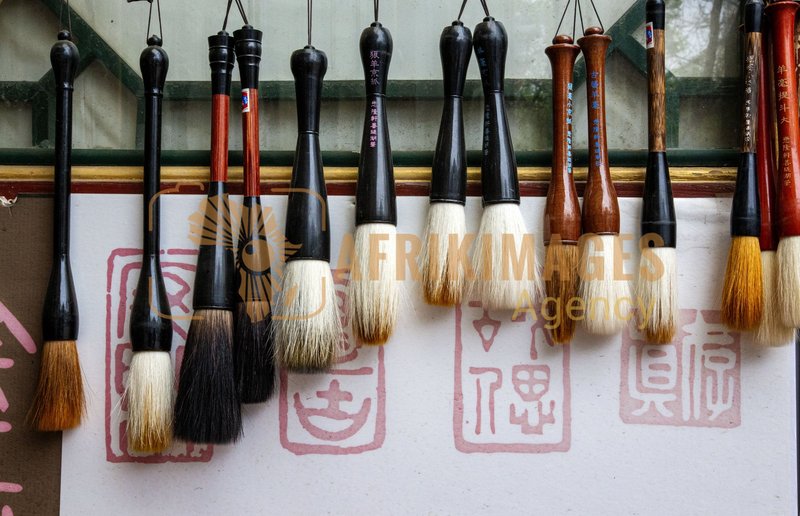 Afrikimages chine /  pekín (beijing)