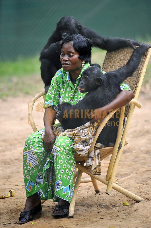 Afrikimages animaux