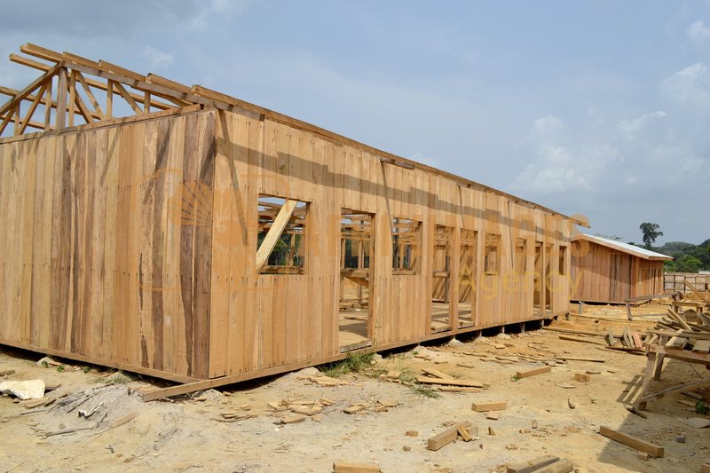 Afrikimages gabon / habitat 