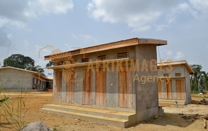 Afrikimages gabon / habitat 