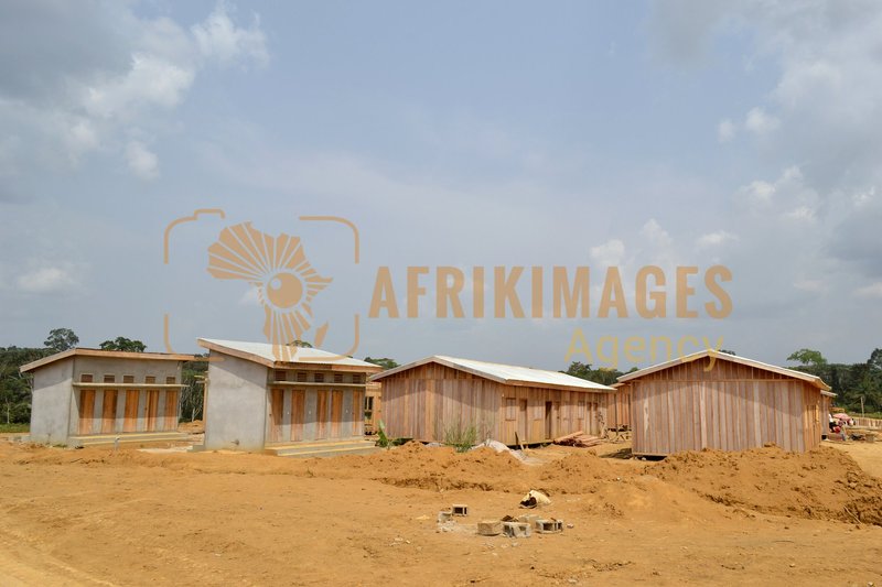 Afrikimages gabon / habitat 