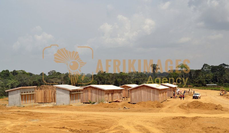 Afrikimages gabon / habitat 