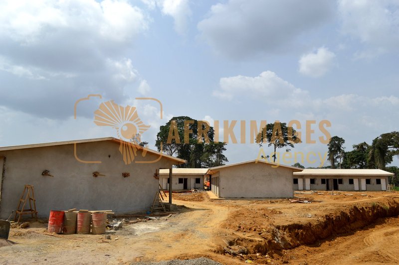 Afrikimages gabon / habitat 