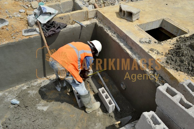 Afrikimages gabon / habitat 