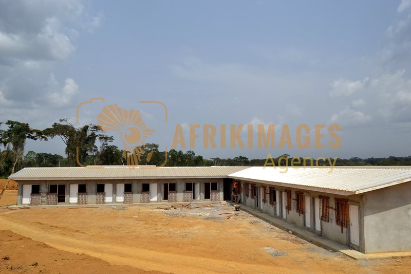 Afrikimages gabon / habitat 