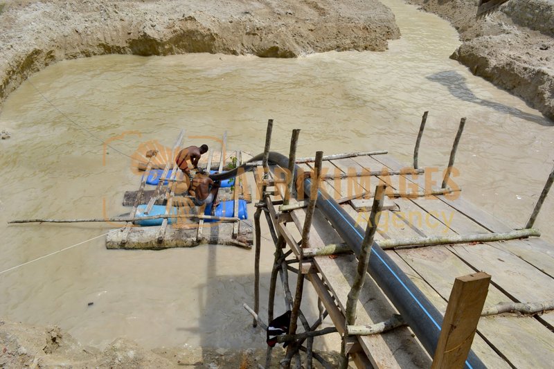 Afrikimages gabon / habitat 