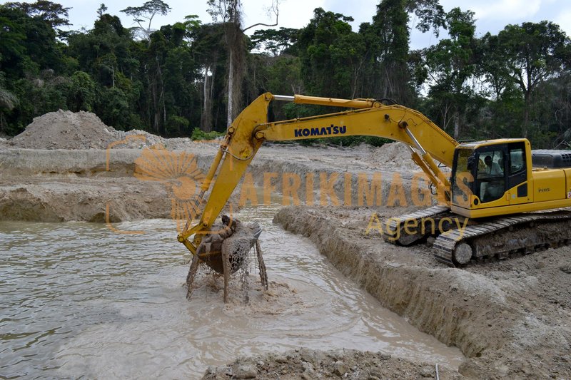 Afrikimages gabon / habitat 