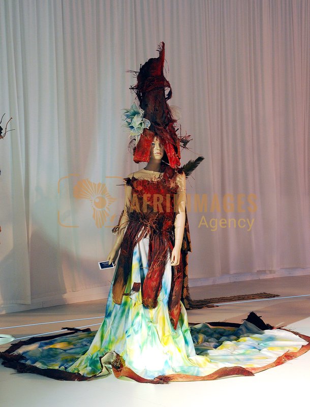 Afrikimages arts-peinture