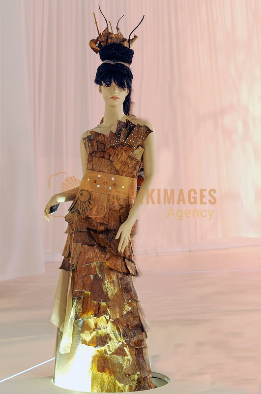 Afrikimages arts-peinture