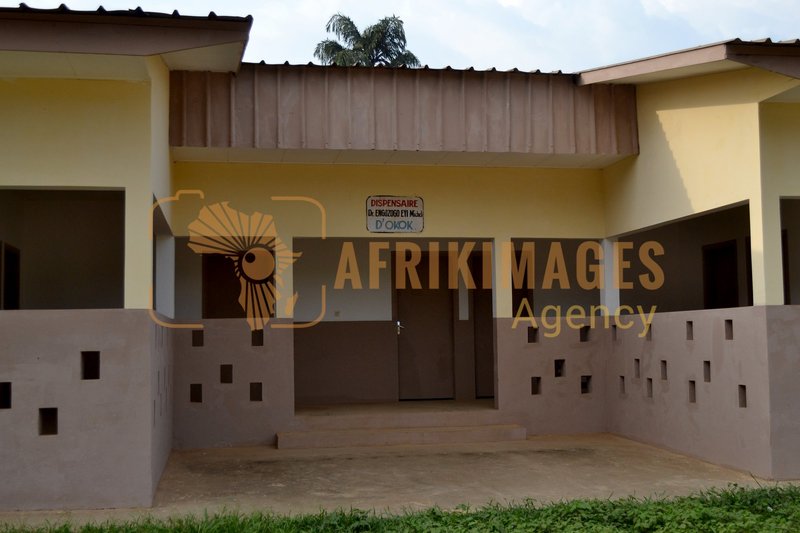 Afrikimages gabon / habitat 