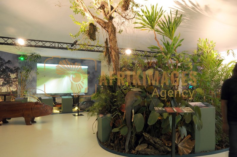 Afrikimages exposition gabon, ma terre, mon futur