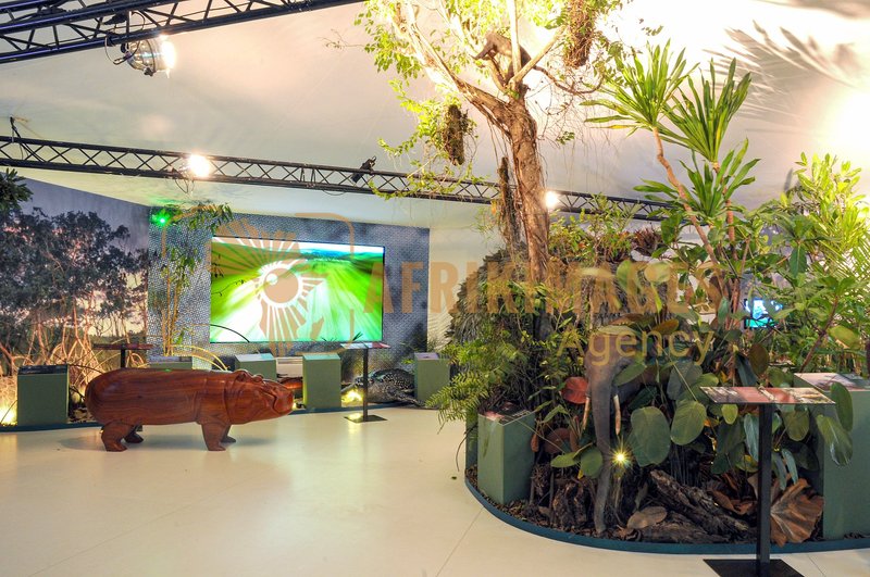 Afrikimages exposition gabon, ma terre, mon futur