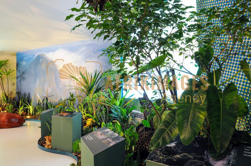 Afrikimages exposition gabon, ma terre, mon futur