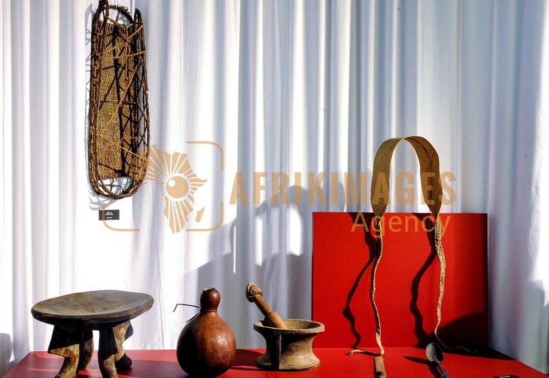 Afrikimages exposition gabon, ma terre, mon futur