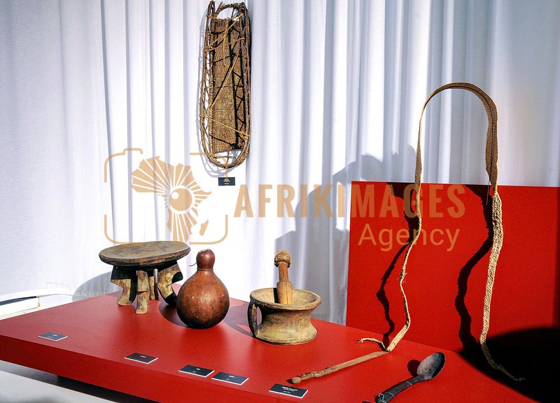 Afrikimages exposition gabon, ma terre, mon futur