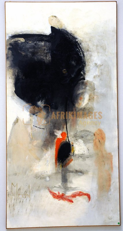 Afrikimages exposition gabon, ma terre, mon futur