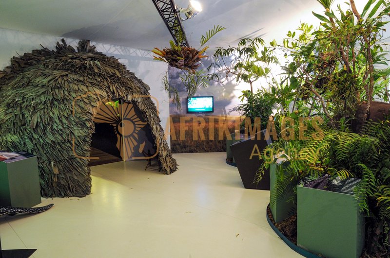 Afrikimages exposition gabon, ma terre, mon futur