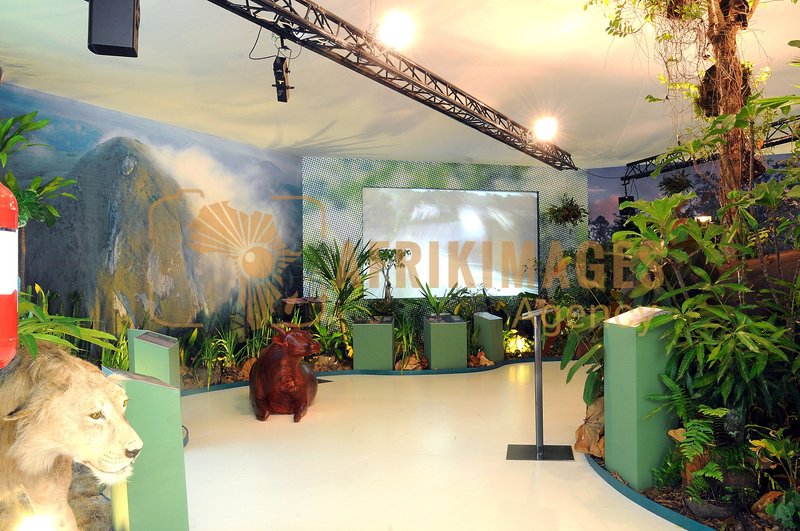 Afrikimages exposition gabon, ma terre, mon futur