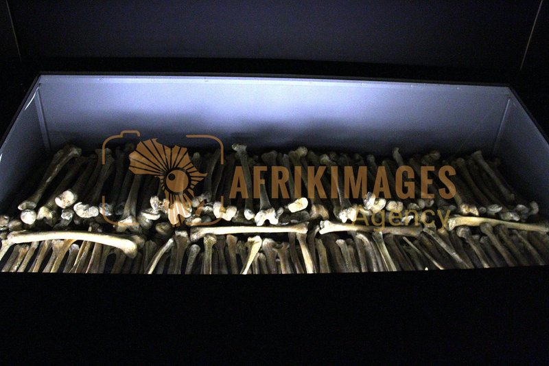 Afrikimages memorial du genocide kigali