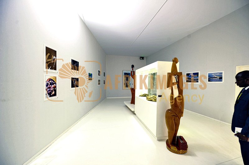 Afrikimages exposition gabon, ma terre, mon futur