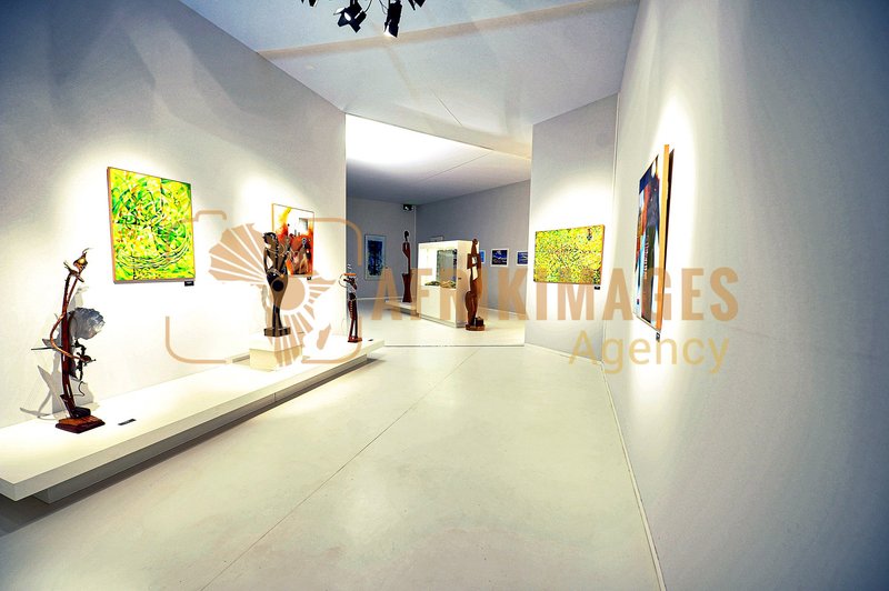 Afrikimages exposition gabon, ma terre, mon futur