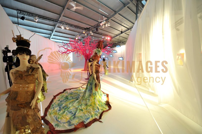 Afrikimages exposition gabon, ma terre, mon futur