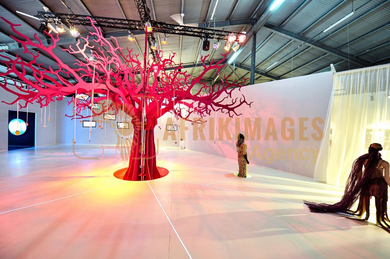 Afrikimages exposition gabon, ma terre, mon futur