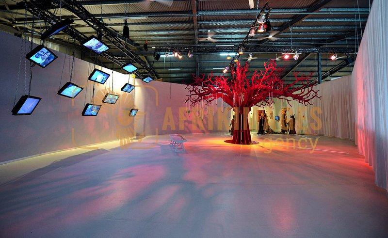 Afrikimages exposition gabon, ma terre, mon futur