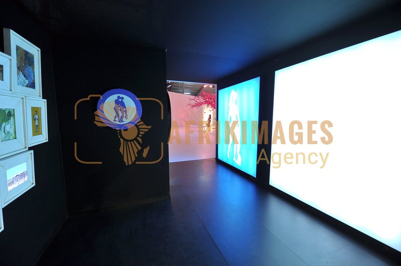 Afrikimages exposition gabon, ma terre, mon futur