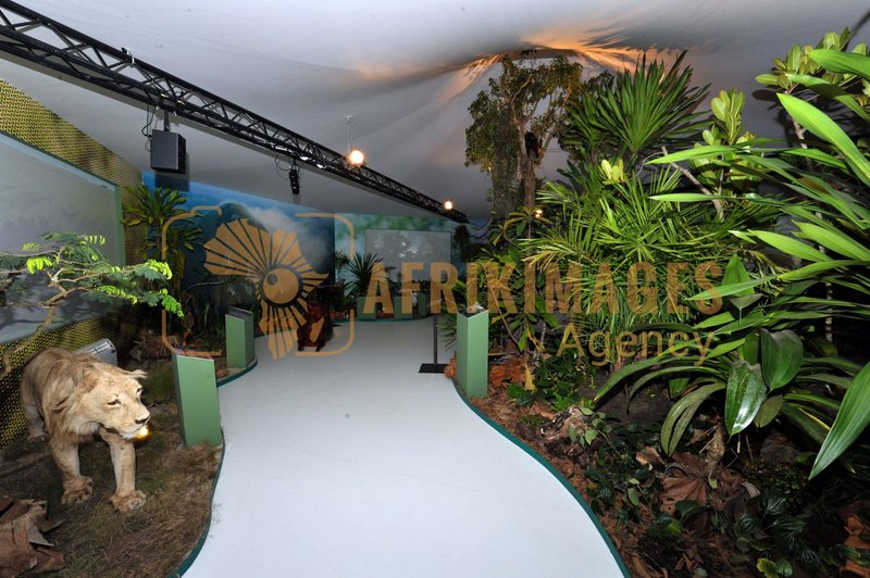 Afrikimages exposition gabon, ma terre, mon futur