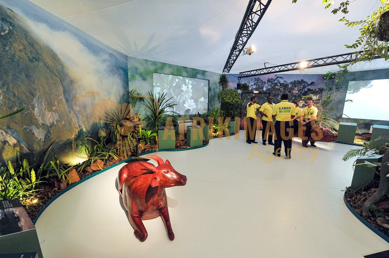 Afrikimages exposition gabon, ma terre, mon futur