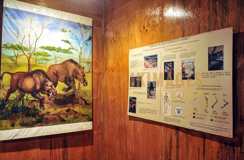 Afrikimages musée national d’éthiopie