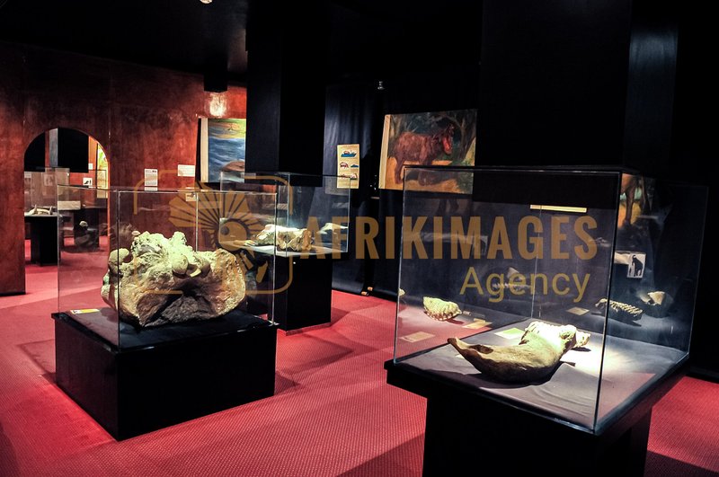 Afrikimages musée national d’éthiopie