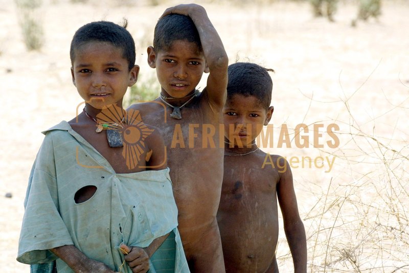 Afrikimages démographie