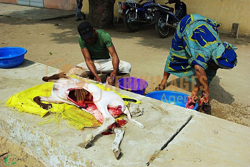 Afrikimages gastronomie