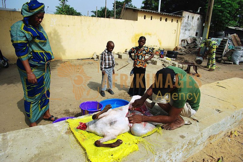 Afrikimages gastronomie