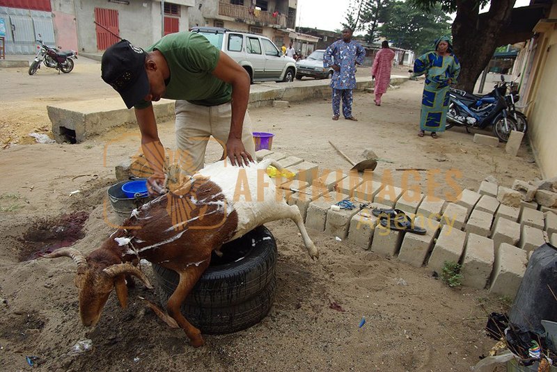 Afrikimages gastronomie