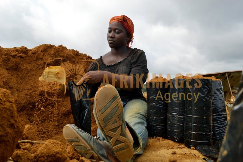 Afrikimages gabon / agriculture