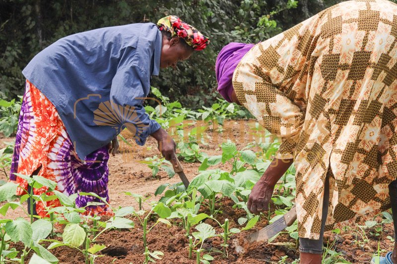 Afrikimages vie quotidienne
