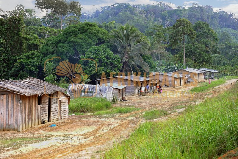 Afrikimages vie quotidienne