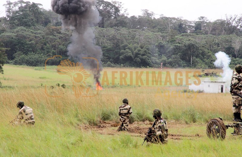 Afrikimages défense