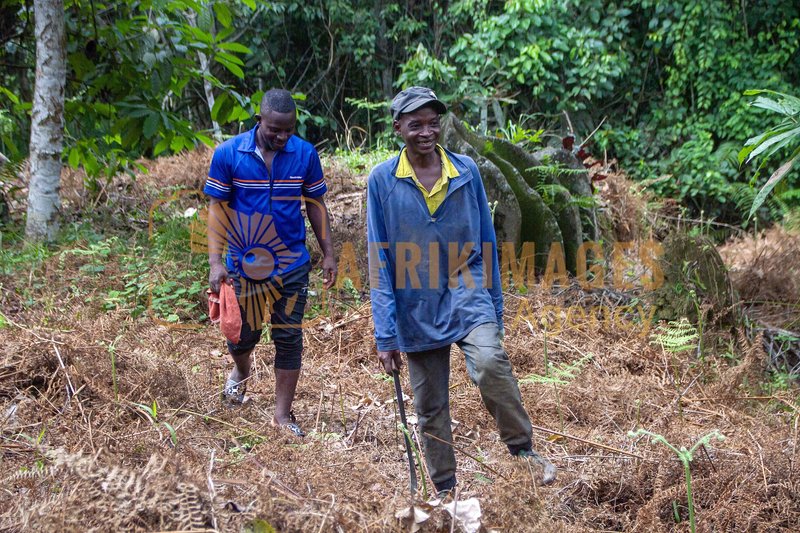 Afrikimages agrn009