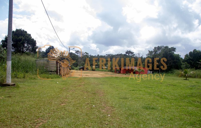 Afrikimages agrn011